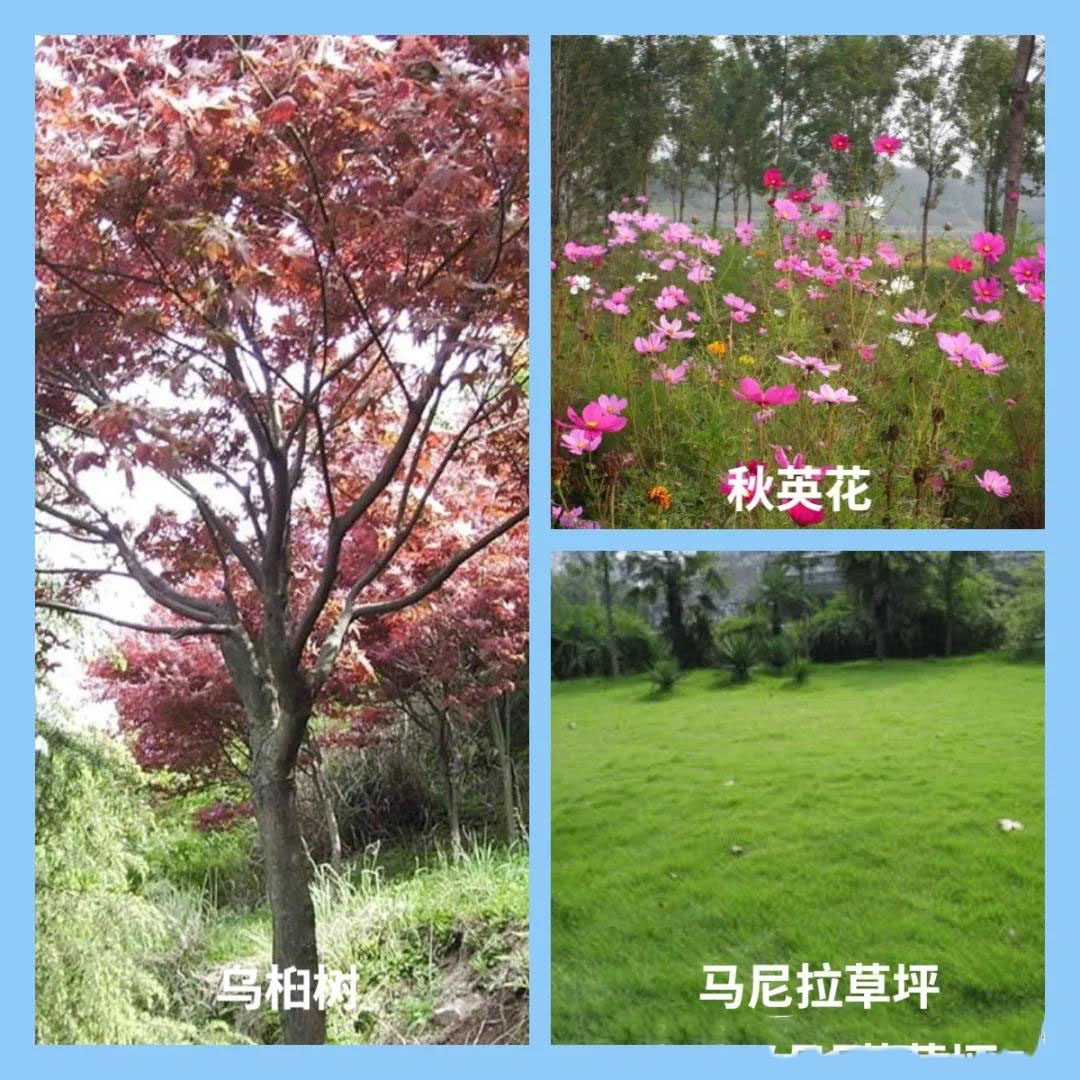 1636710248836329.jpg 微信圖片_20211112170733.jpg
